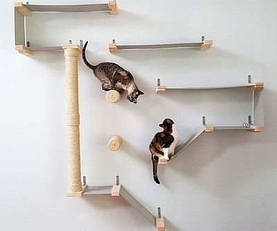 Cat Hammock Activity Center