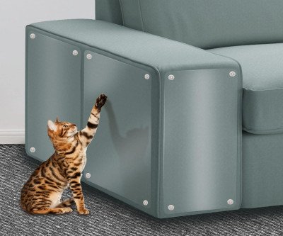Protect Your Furniture From Cat Scratches