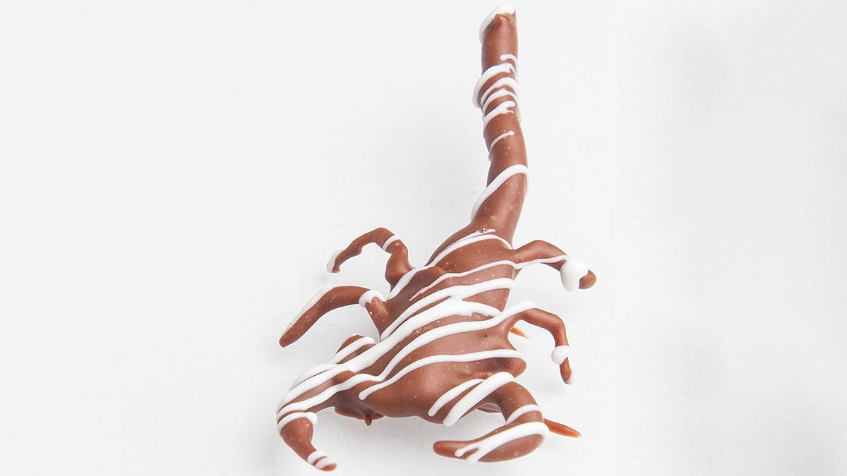 Chocolate Covered Scorpion