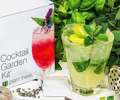 Cocktail Garden Kit