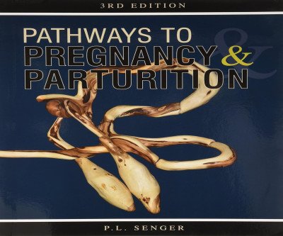 Comprehensive Guide to Pregnancy & Childbirth 3rd Edition