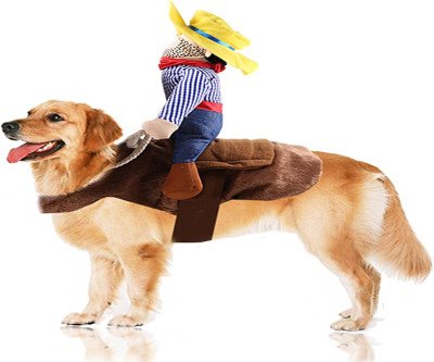Adorable Cowboy Pet Costume - Horse Riding Outfit
