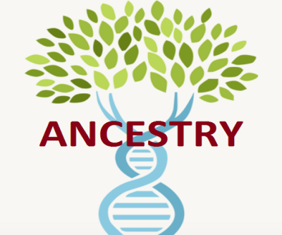 Discover Your Heritage with the Ancestry App