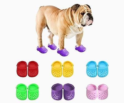 Dog Crocs