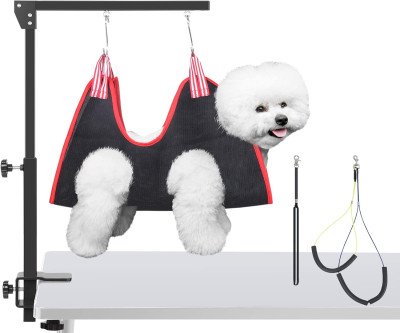 Keep Your Dog Calm During Grooming - Professional Stand at Home