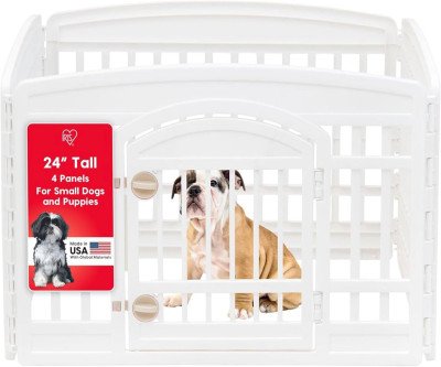 Give Your Pup Room to Roam Safely