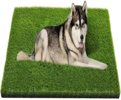 Dog Potty Training Mat: Clean, Realistic Grass for Indoor/Outdoor Use