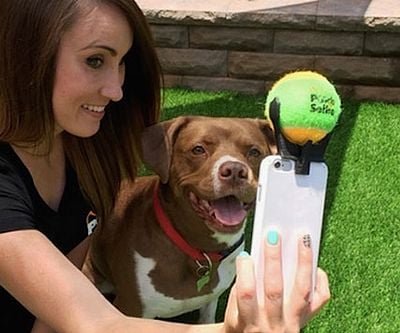 Dog Selfie Attachment