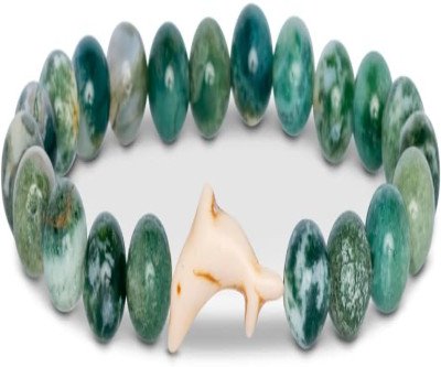 Track Wild Dolphins on Your Wrist