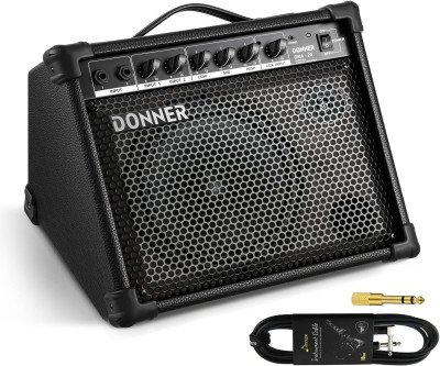 Powerful 20W Keyboard Amp with Dual Speakers & Mic Support