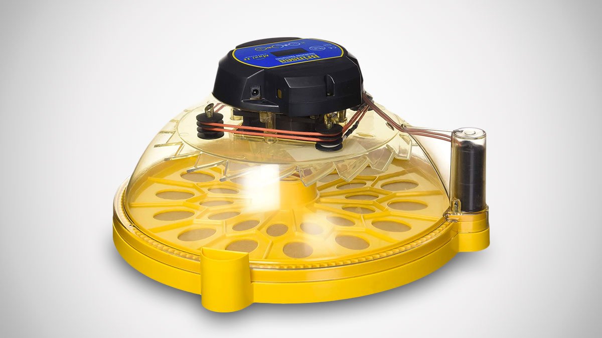 E173: What Is This Thing?