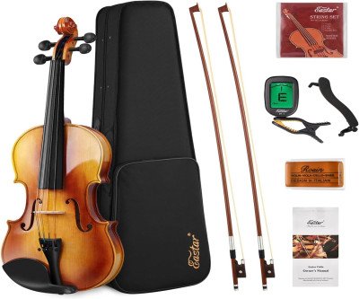 Beginner Violin Set: Complete Instrument Out of Box
