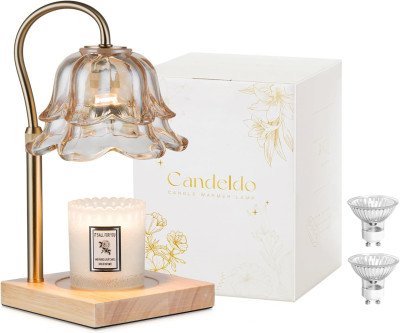 Elegant Candle Warmer Lamp with Timer