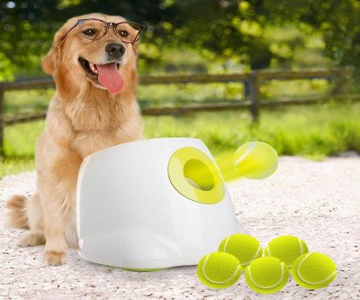 Endless Fetch Fun for Your Dog - Automatic Ball Launcher