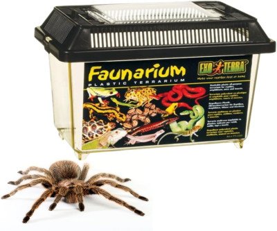 Exo Terra Faunarium: Perfect Reptile Terrarium