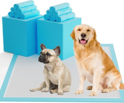 Stop Accidents Before They Happen