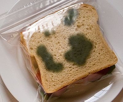 Anti-Theft Lunch Bag