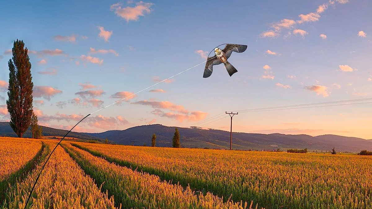 Flying Hawk Kite Bird Deterrent