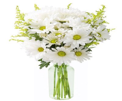 Fresh White Daisies Bouquet - Winter Cheer