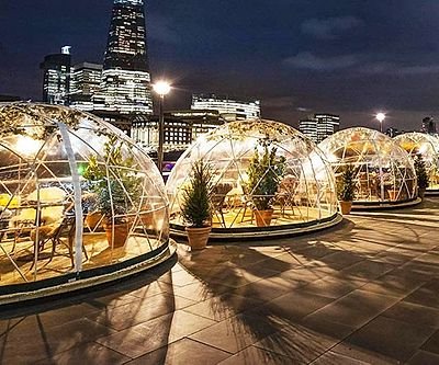 Geodesic Backyard Garden Dome