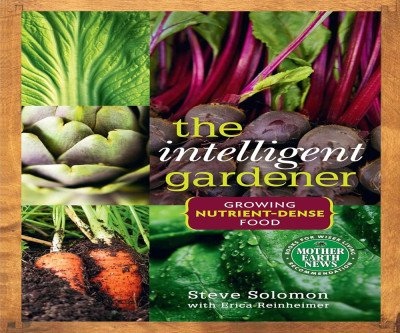 Grow Nutrient-Rich Superfood at Home