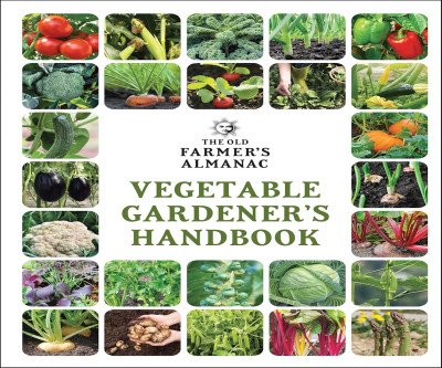 Grow Your Own Garden with Expert Guidance