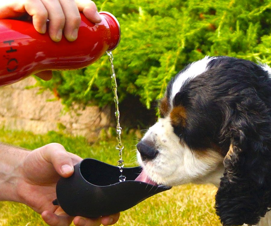 H2O4K9 Dog Water Bottle & Travel Bowl