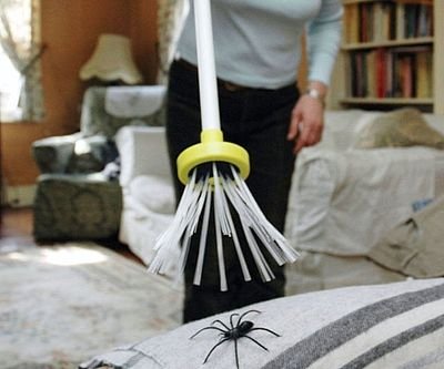 Harm-Free Spider Catcher