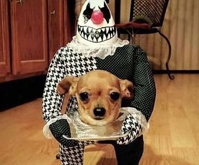Head On A Platter Pet Costume