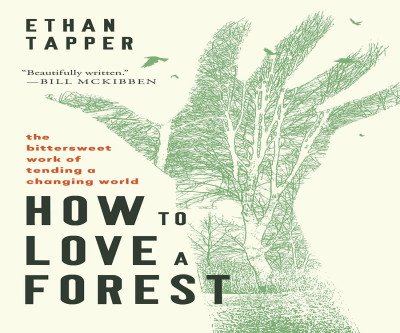 How to Love a Forest: A Forester's Bittersweet Wisdom