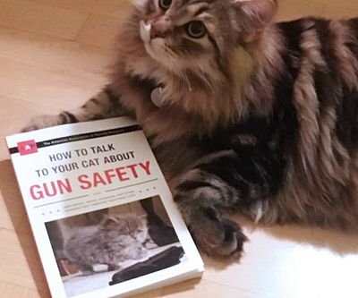 How To Talk To Your Cat About Gun Safety