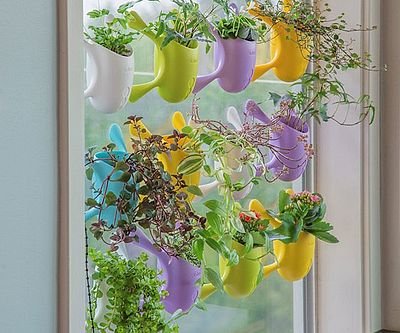 Indoor Suctioned Window/Wall Planter