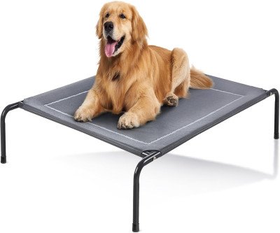Keep Your Dog Cool & Clean with Elevated Pet Cot