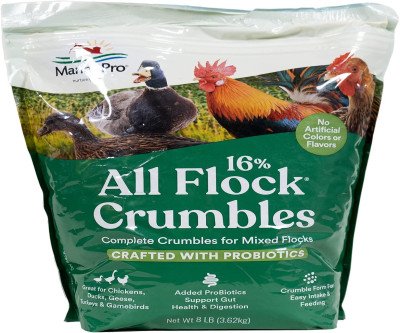 Boost Gut Health with Manna Pro All Flock Crumbles