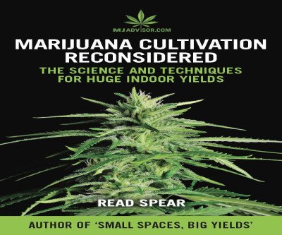 Master Cannabis Cultivation for Huge Yields