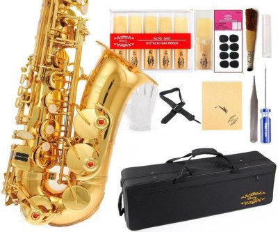 Melody Maker Gold Alto Saxophone