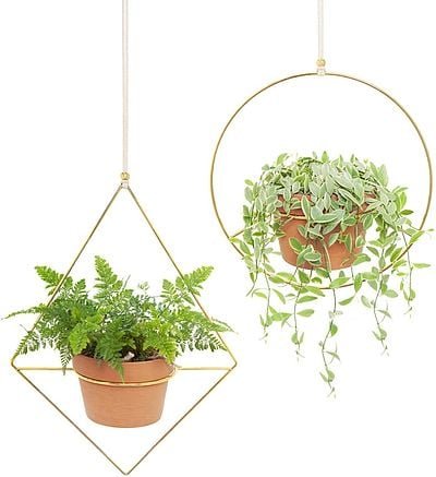 Modern Gold Plant Hangers
