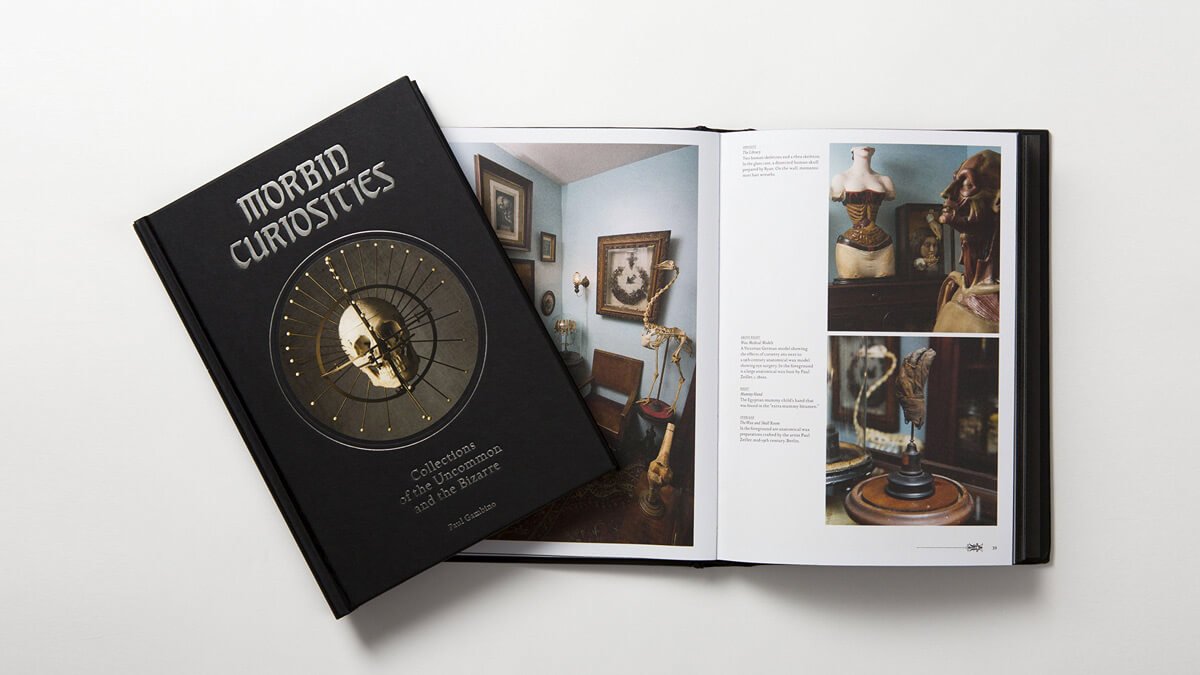 Morbid Curiosities: The Uncommon & the Bizarre