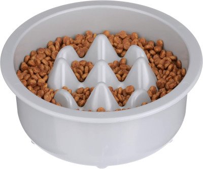 Slow Down Your Pet's Eating: The Niner Bowl for Healthier Feeding
