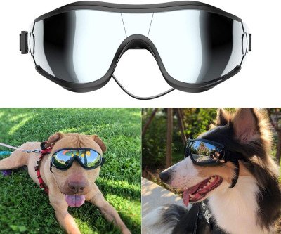 Stylish Sunglasses for Your Furry Friends