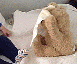 Peek-a-Boo Teddy Bear