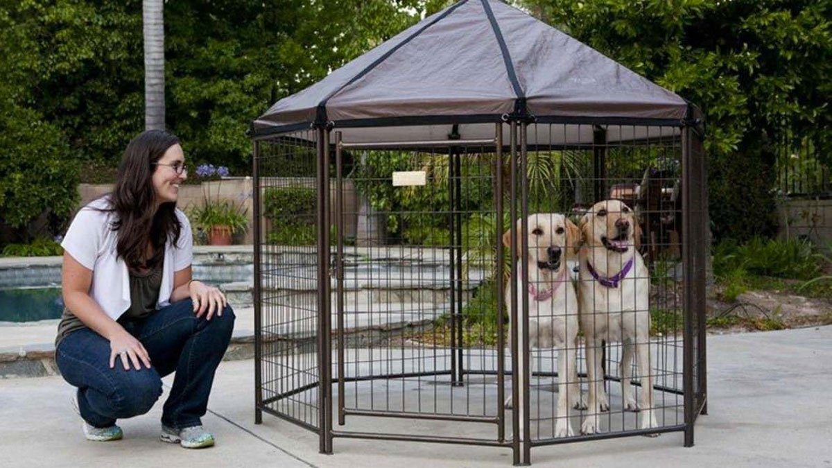 Pet Gazebo Dog Kennel