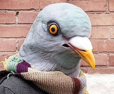 Pigeon Mask