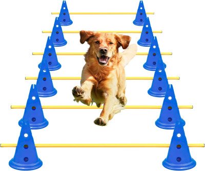 Pro Dog Agility Training Set with Height-Adjustable Obstacles