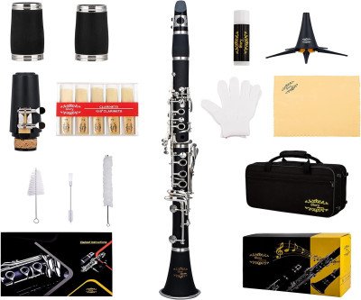 Professional Ebonite Clarinet Complete Kit for Musicians