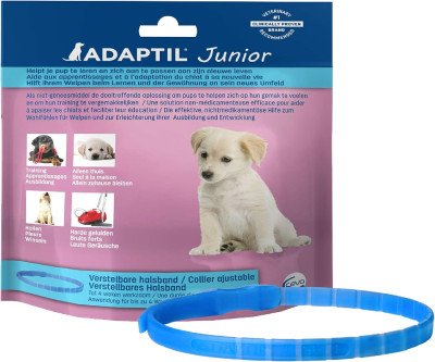 Puppy Calming Collar Helps Your New Friend Settle In