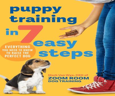 Puppy Training in 7 Easy Steps for Your Perfect Dog