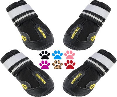 Protect Your Paws: All-Weather Dog Boots for Large & Medium Dogs