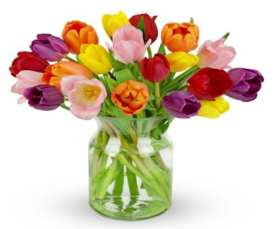 Rainbow Tulip Bouquet - 20 Stems of Joyful Color