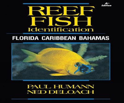 Ultimate Reef Fish ID Guide: Florida Caribbean Bahamas 4th Edition